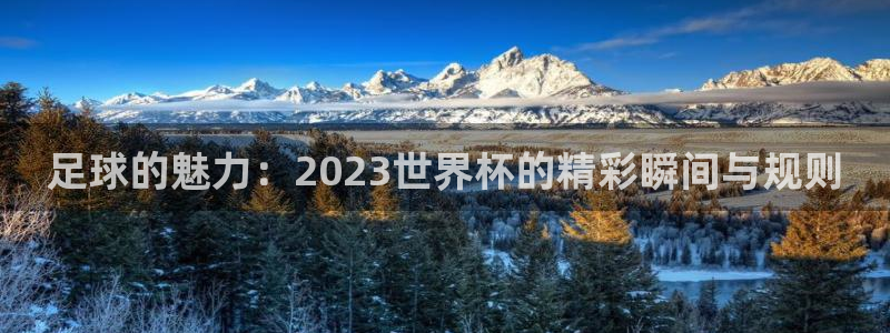  足球的魅力：2023世界杯的精彩瞬间与规则