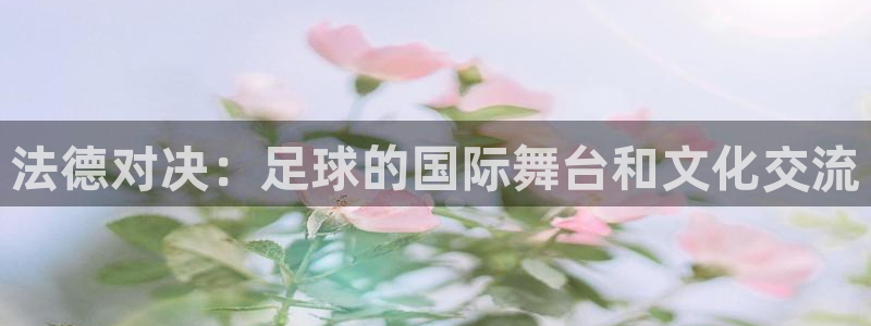 法德对决：足球的国际舞台和文化交流