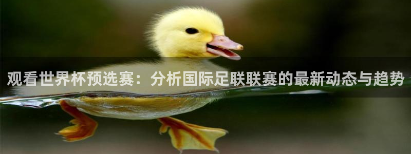 观看世界杯预选赛：分析国际足联联赛的最新动态与趋势