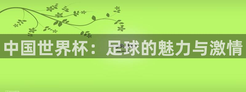  中国世界杯：足球的魅力与激情