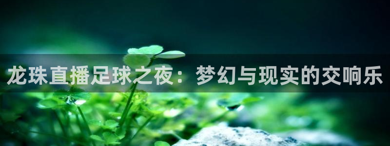 龙珠直播足球之夜：梦幻与现实的交响乐