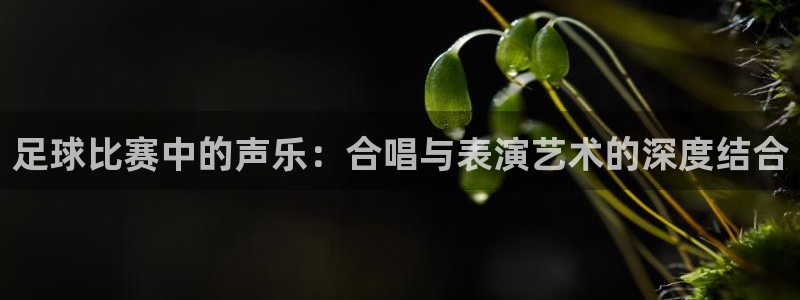 足球比赛中的声乐：合唱与表演艺术的深度结合