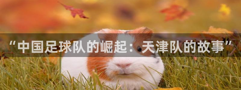  “中国足球队的崛起：天津队的故事”