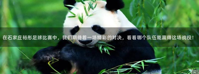  在石家庄裕彤足球比赛中，我们期待着一场精彩的对决，看看哪个队