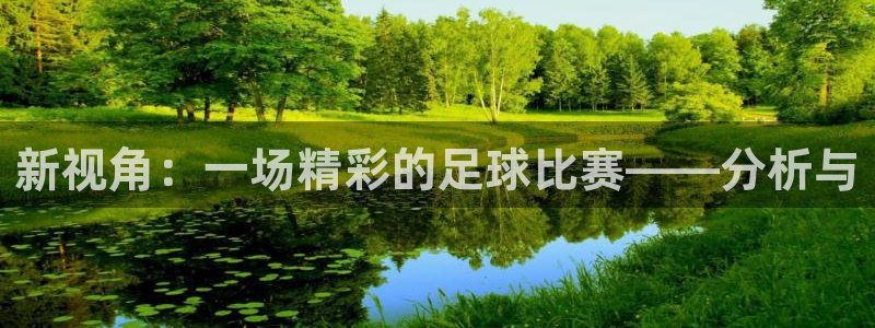 新视角：一场精彩的足球比赛——分析与