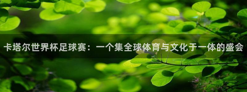  卡塔尔世界杯足球赛：一个集全球体育与文化于一体的盛会