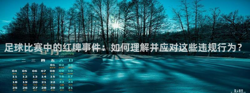 足球比赛中的红牌事件：如何理解并应对