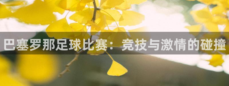 巴塞罗那足球比赛：竞技与激情的碰撞
