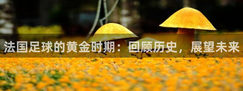 法国足球的黄金时期：回顾历史，展望未