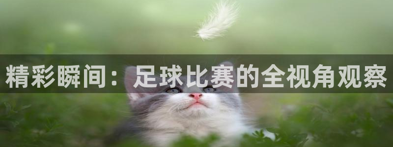 精彩瞬间：足球比赛的全视角观察