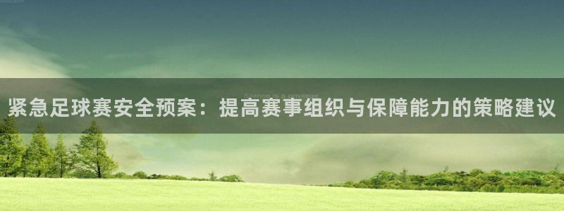 紧急足球赛安全预案：提高赛事组织与保