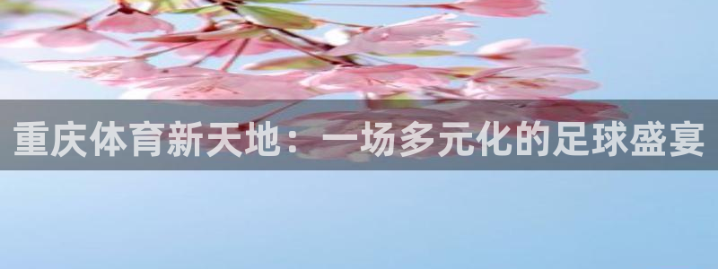 重庆体育新天地：一场多元化的足球盛宴