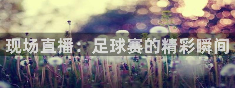 现场直播：足球赛的精彩瞬间