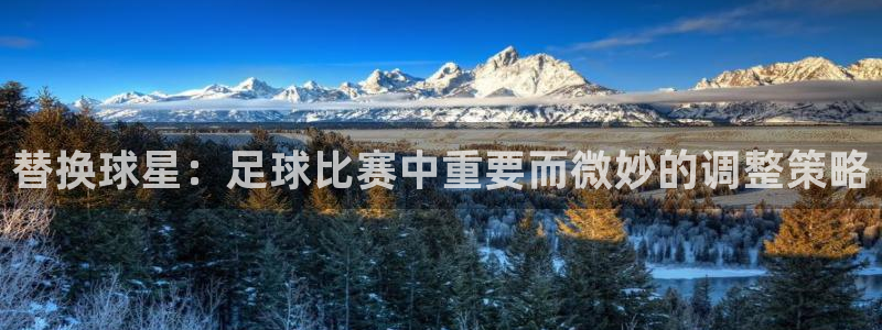 替换球星：足球比赛中重要而微妙的调整