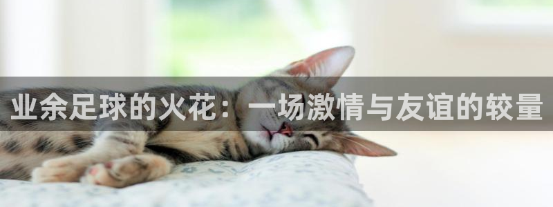 业余足球的火花：一场激情与友谊的较量