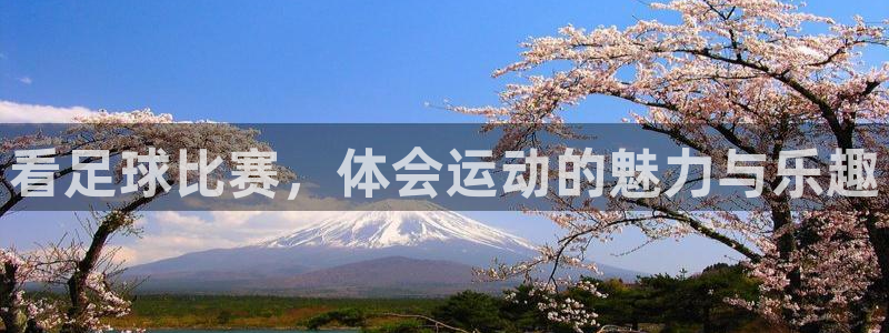 看足球比赛，体会运动的魅力与乐趣