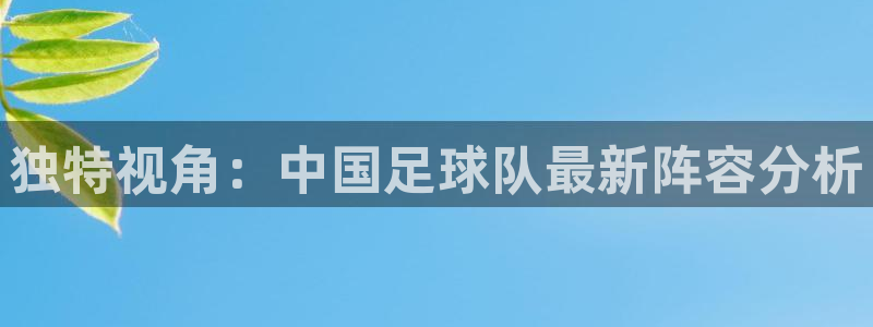 独特视角：中国足球队最新阵容分析