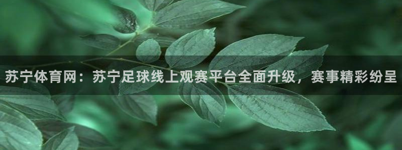 苏宁体育网：苏宁足球线上观赛平台全面