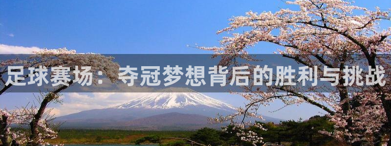 足球赛场：夺冠梦想背后的胜利与挑战