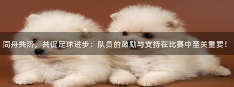 同舟共济，共促足球进步：队员的鼓励与