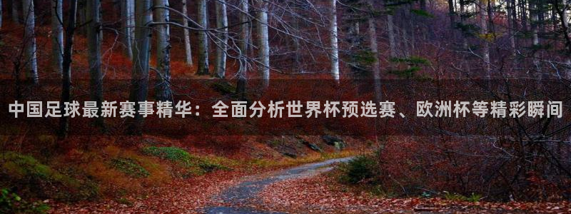  中国足球最新赛事精华：全面分析世界杯预选赛、欧洲杯等精彩瞬间