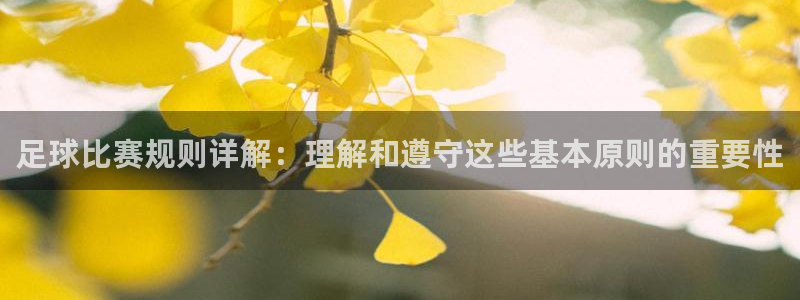 足球比赛规则详解：理解和遵守这些基本原则的重要性